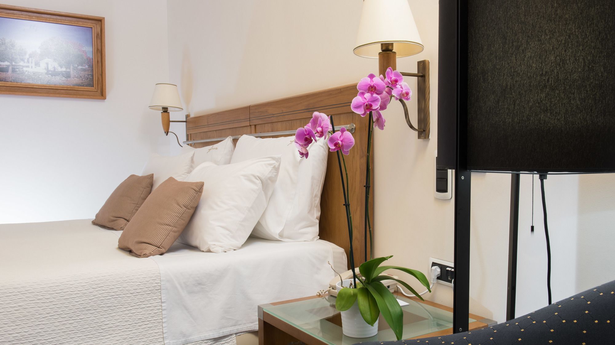 アレクサンダー ビーチ ホテル ＆ スパ アレクサンドルポリス エクステリア 写真 A bedroom at the hotel